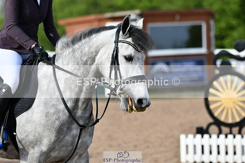 240511A-083807-10601 - Cls 27 85cm National Am Quali