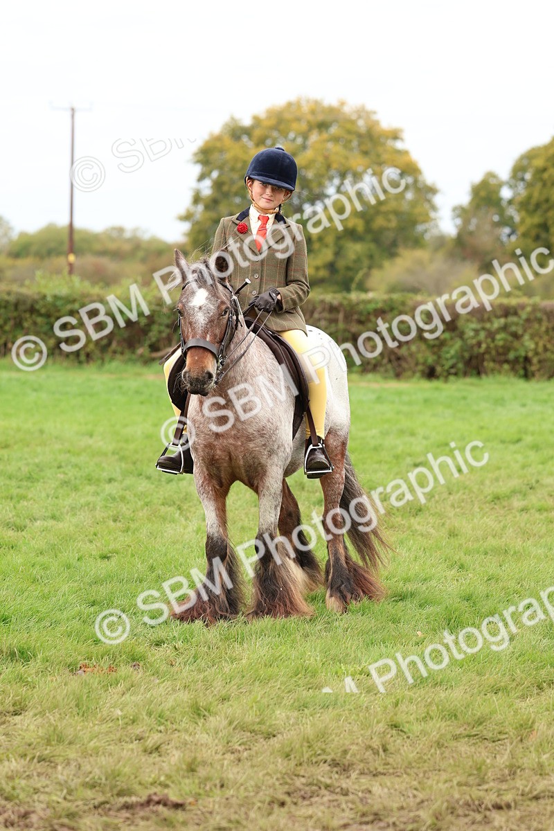 SBM_64470 - S58 - Coloured Pony Ridden