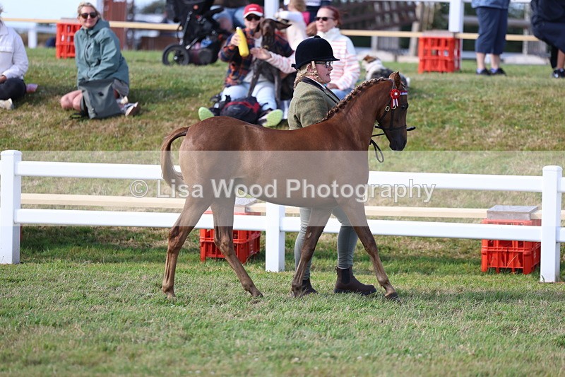 3E7A3792 - Supreme Championship