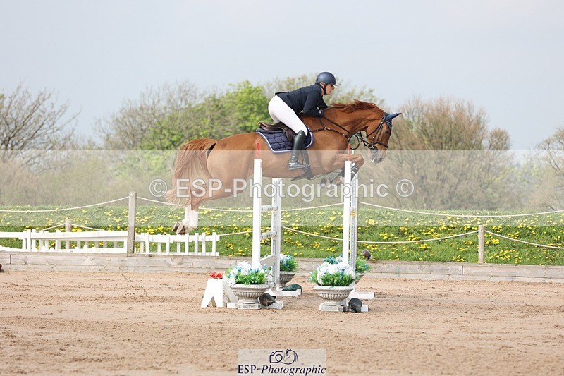 250424-105923-03334 - Cls 33 Young Horse 7yr old