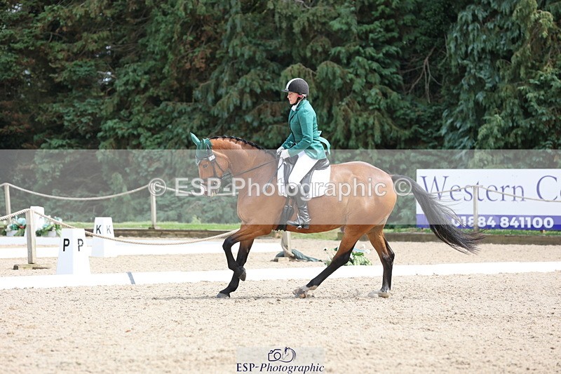 250718A-153115-02596 - 152-Tracy.OKennedy-Wylye.Harlequin