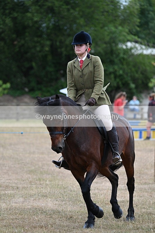 WJ7_0625 - Class 6 Ridden Mountain and Moorland