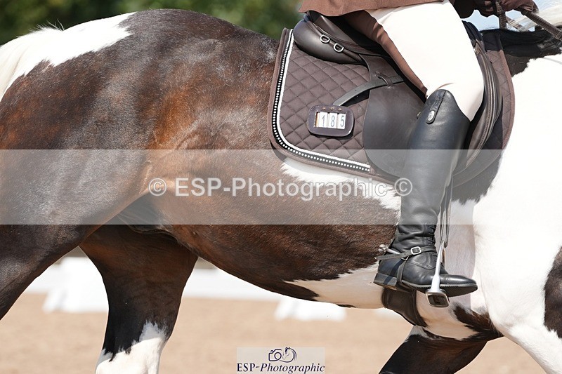 250817-122010-09292 - 185-Hermione.PerryNewoak.Roc.Bay