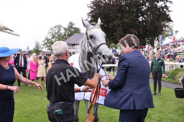 yr17082022r5-60 - Race 5 4.10pm Sky Bet Stayers Stakes