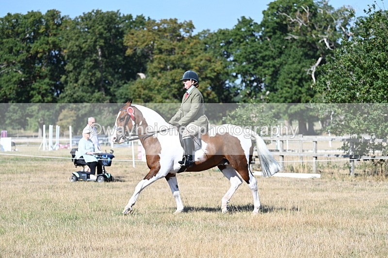 WJ7_3259 - Class 8 Ridden Tack & Turnout