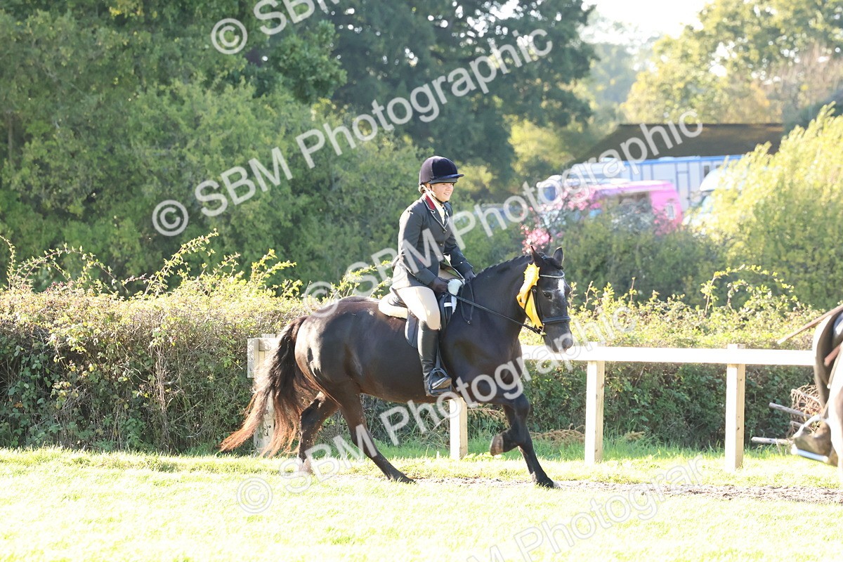 SBM_52686 - S13 - Pony Club Pony