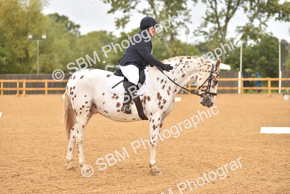 SBM_00403 - D7 - Small Tour Championship Prelim 2