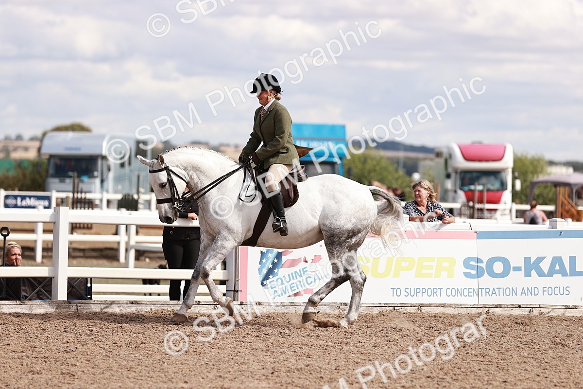 SBM_14452 - Class 410 - Grassroots Ridden - Horse