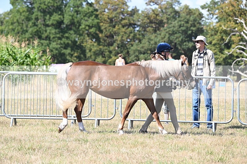 WJ6_4466 - Class 17 Mountain & Moorland