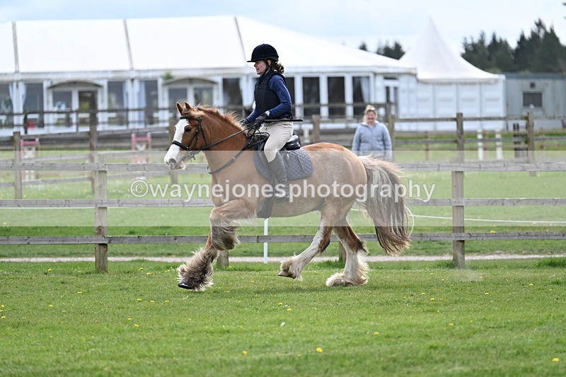 WJ7_6329 - 60cm Time 11:12 to 11:36