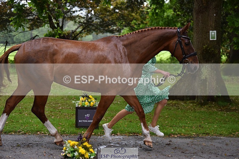 240522-153314-00427 - 367-CROSSTOWN_FINTANS_LAST-Catherine_Burrell