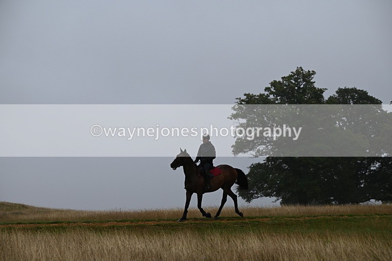 DSC_1163 - Time at Statue 11:54 to 12:12