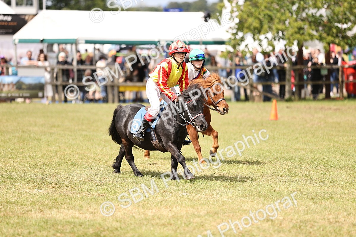 SBM_16545 - Dinky Derby