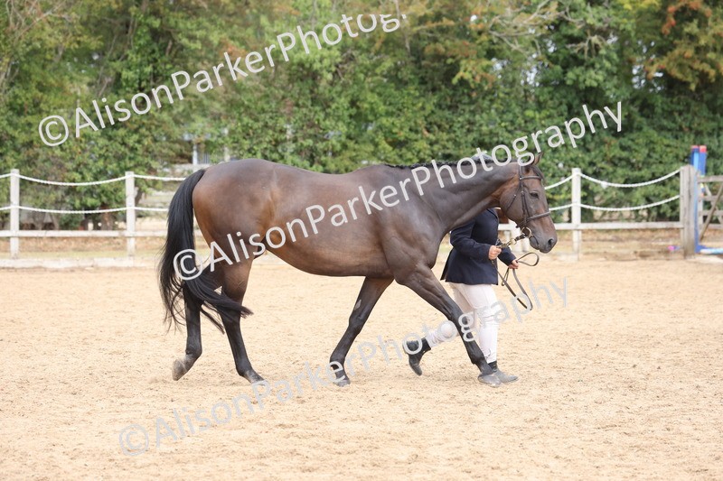 20260831-1889 - Class 5 - Retraining of Racehorses