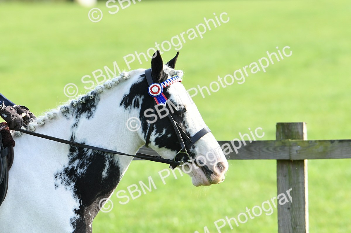 SBM_52351 - S22 - 1st Ridden Show & Show Hunter Pony