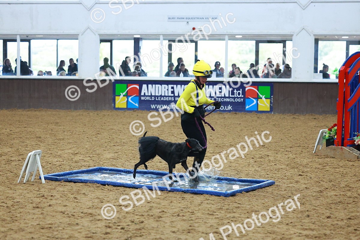 SBM_002333 - Class 3 - Horse & Hound (60cm)