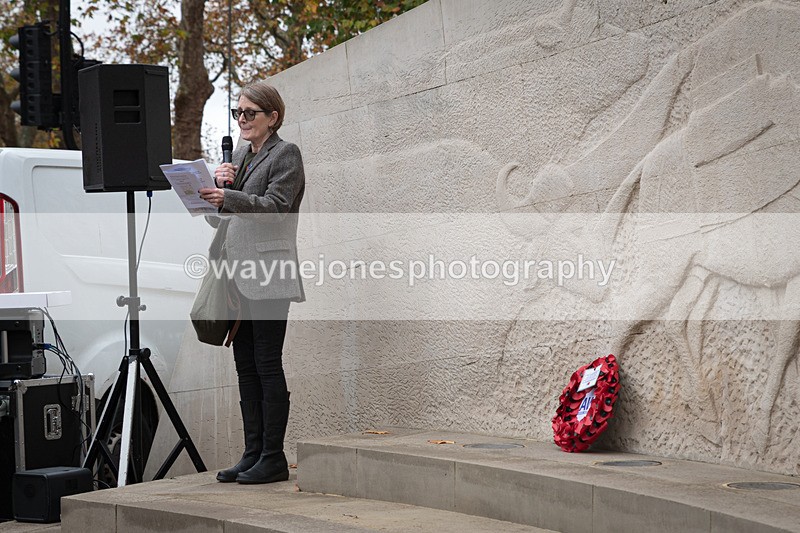 Z62_4594 - Animals In War Memorial 2025 - Park Lane, London