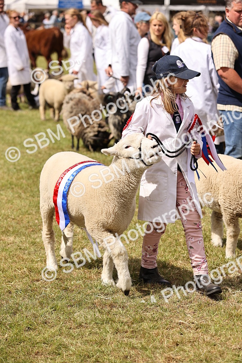 SBM_16921 - Grand Parade