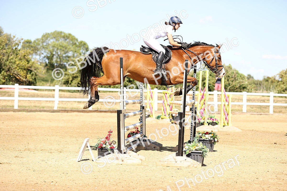 SBM_015314 - Class 16 - Senior foxhunter - 1.20m Open