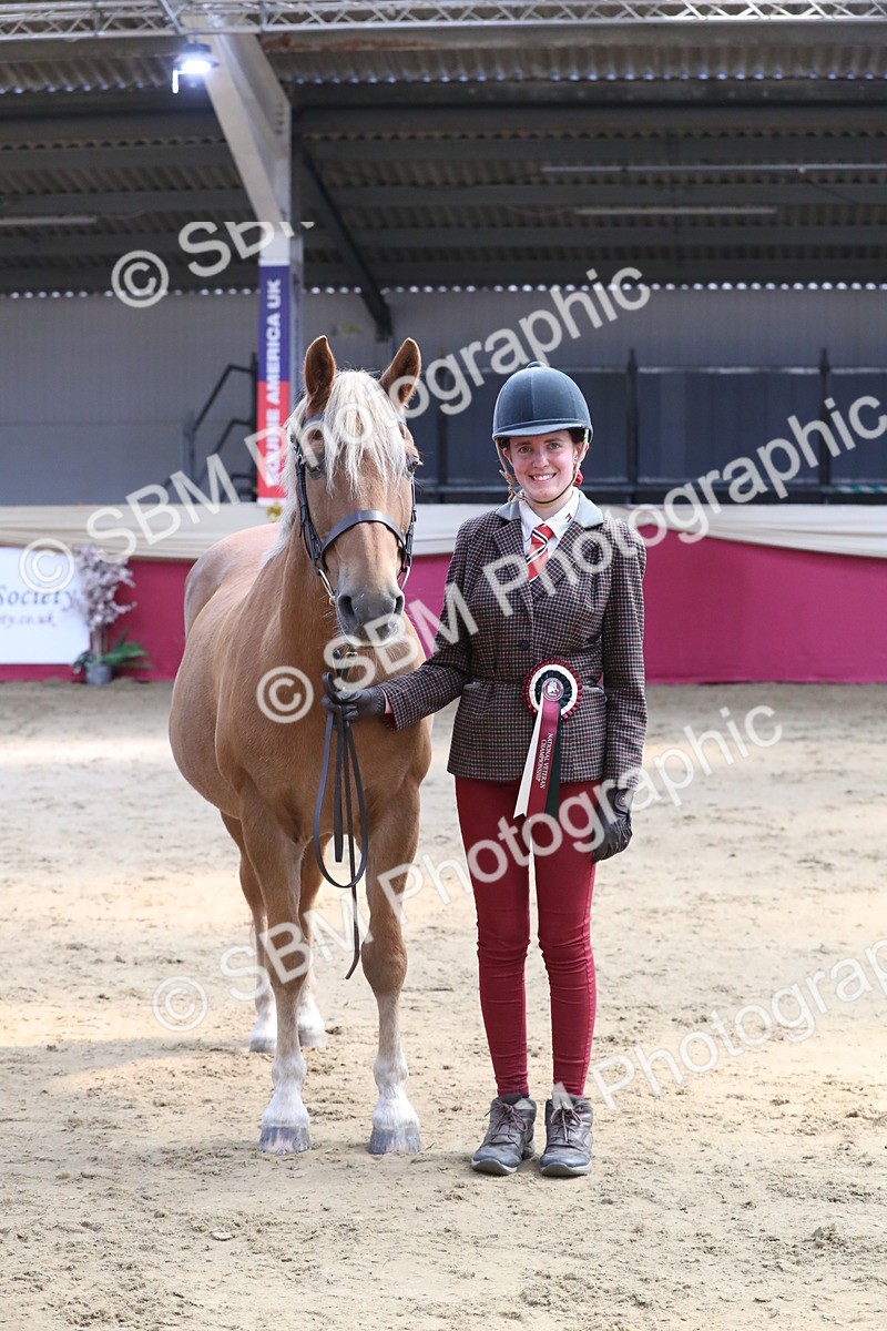 SBM_04489 - Class 7R Regional - IH Diamond