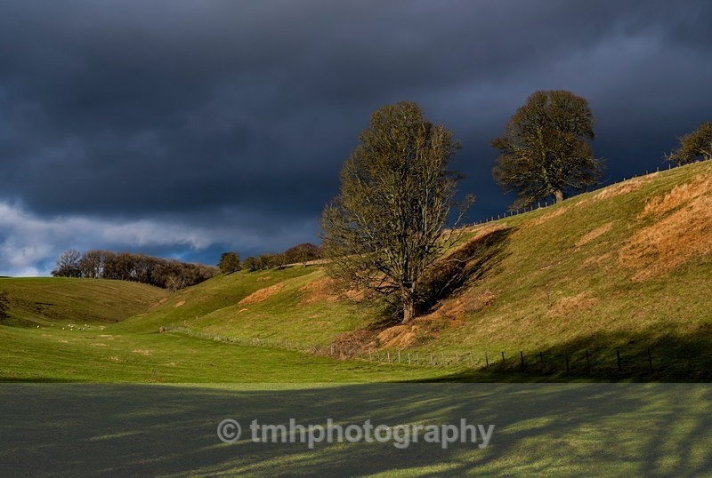 Contrasts - Yorkshire Countryside