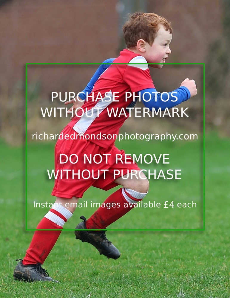 533A1182 - Ibis Under 7's (28/2/26)