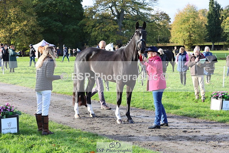 251026A-095315-22553 - D-315-Georgina.Marks