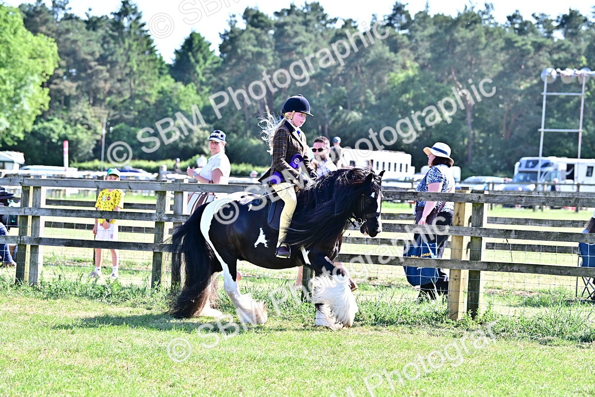 SBM_19477 - Class 101-102 - BSPS LIHS Performance Coloured Horse/Pony