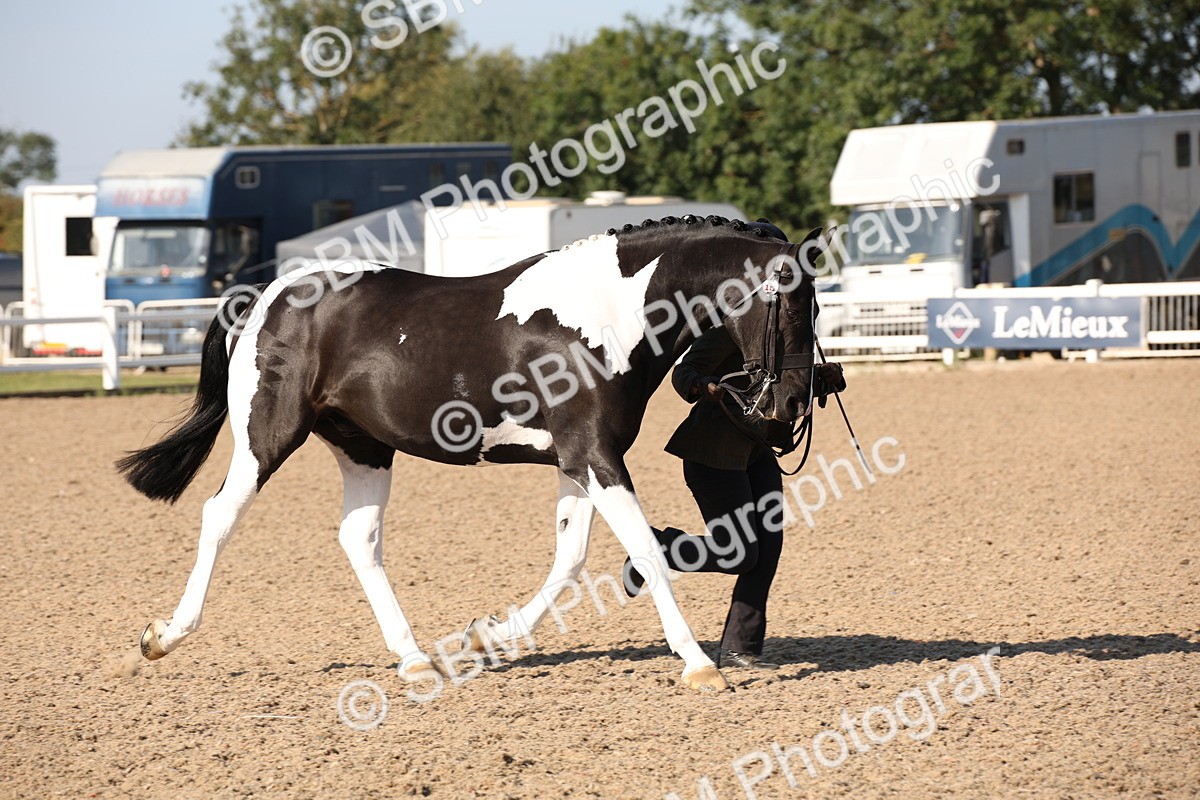 SBM_01511 - Class 15 IH Coloured