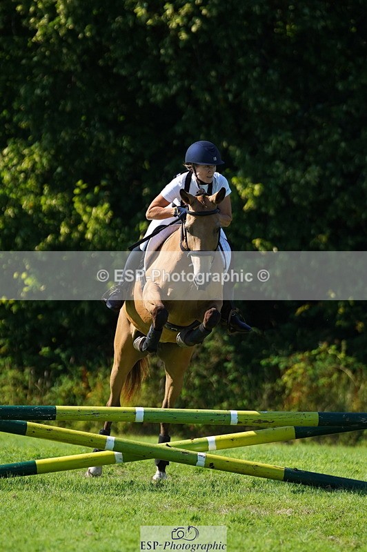 240811A-162014-06254 - 461-