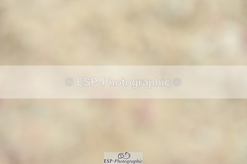 230702A-104234-08087 - Cls 27 Music Novice