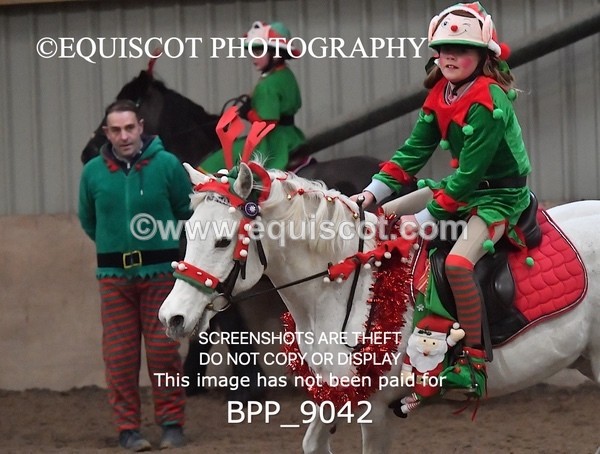 BPP_9042 - CLASS 3 50CM-70CM Pairs Show Jumping