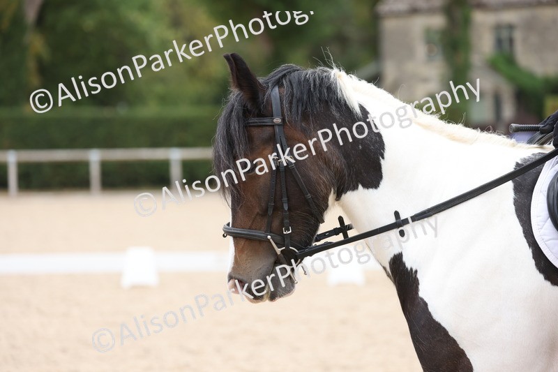 20250819-1174 - Class 3 - Prelim 2