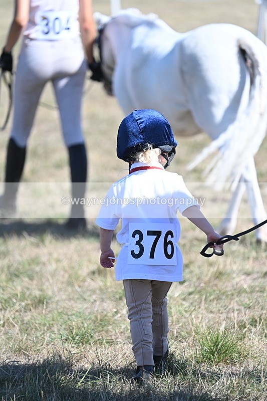 WJ7_1774 - Class 43 Best Six Legs (In hand)