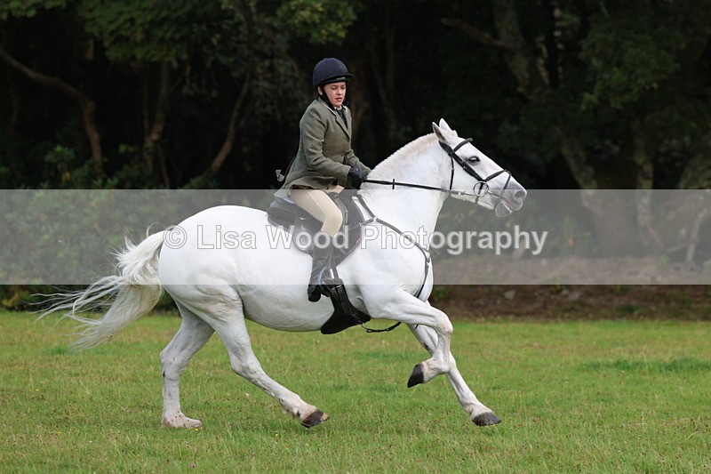 3E7A6005 - Class 28: 75cm Working Hunter