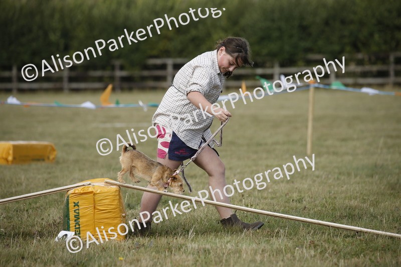 20250831-3873 - Dog Show