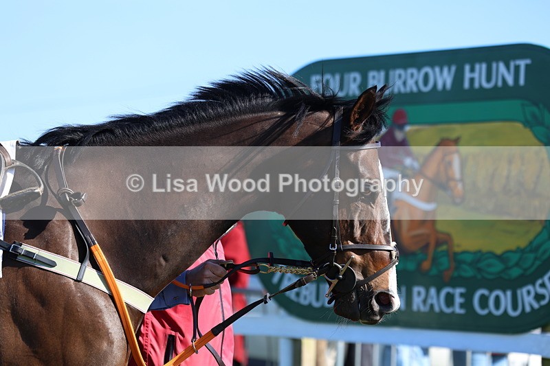 3E7A5597 - Race 6: Maiden (NWFAA)