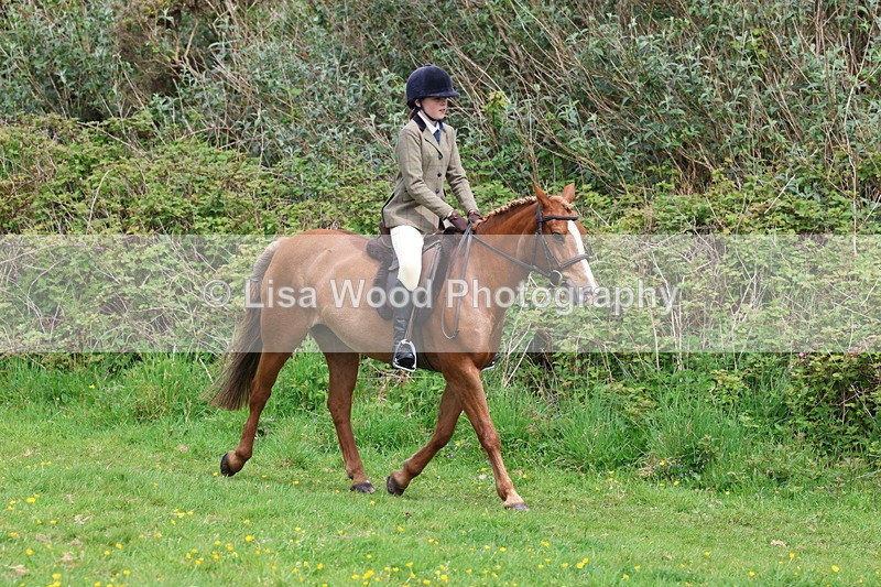 3E7A1687 - Class 9: Riding Club Horse/Pony