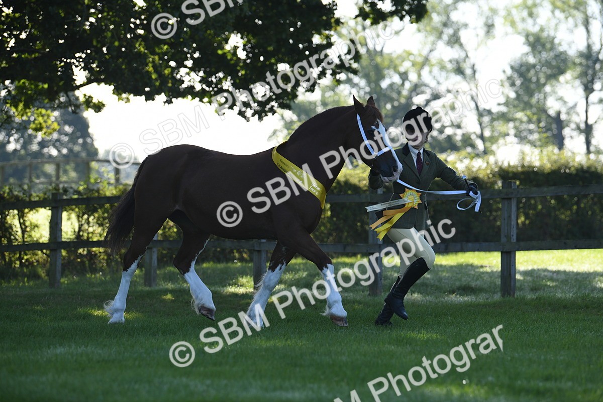 SBM_35554 - Top Turnout Supreme Championship