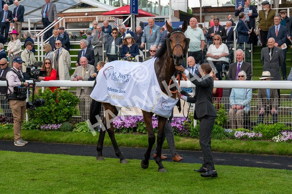 160524-Race 3-Bluestocking-7889 - Race 3 3.15pm  Al Basti Equiworld Dubai Middleton Fillies' Stakes