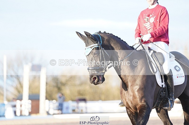 241214-154708-02246 - 131-Alys.Matravers-DARGASONS.MOON.SHADOW