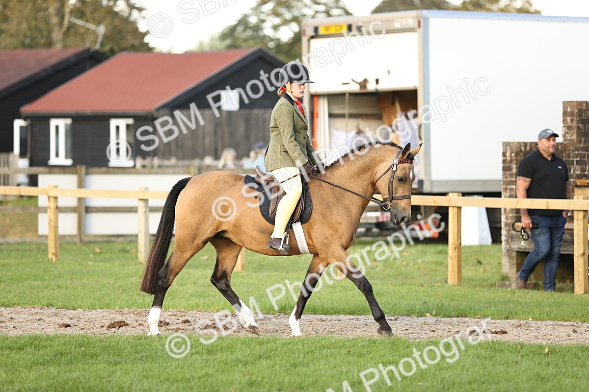 SBM_29540 - S7 - Novice & Newcomers Ridden Pony