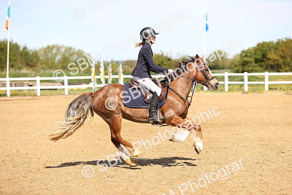 SBM_000917 - 60cm