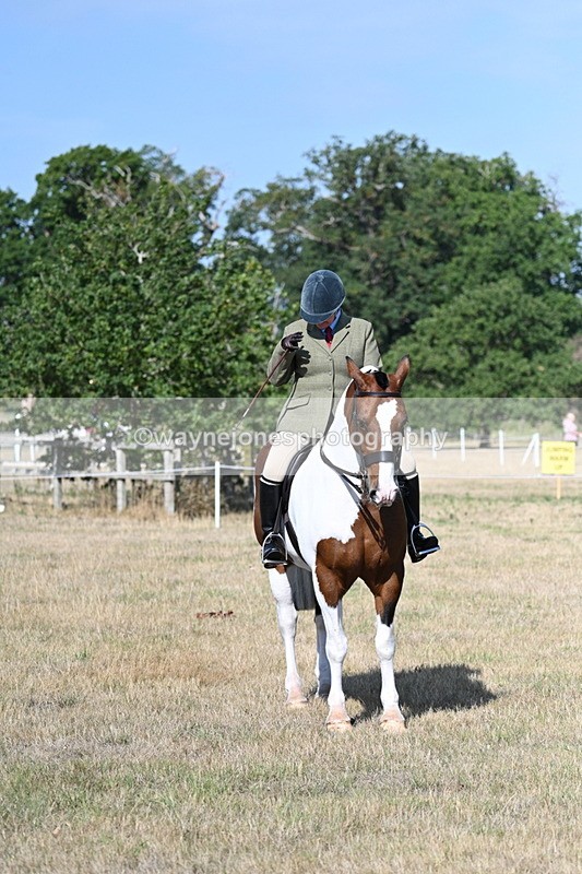 WJ7_2864 - Class 8 Ridden Tack & Turnout