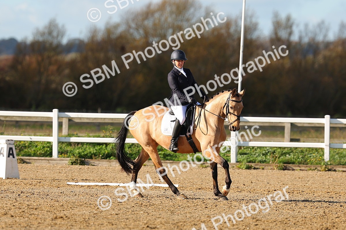 SBM_001079 - Novice 5