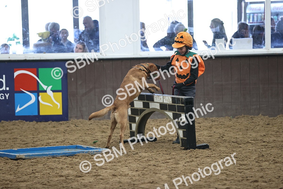 SBM_001370 - Class 3 - Horse & Hound 60cm