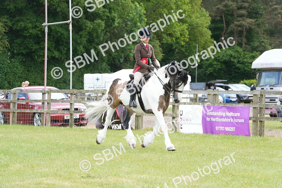 SBM_17347 - Class 107-108 - LIHS BSPS Performance Coloured Horse Pony