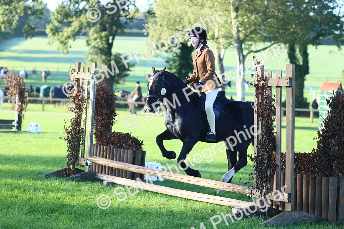 SBM_37336 - S29 - Novice & Newcomers Working Hunter Pony