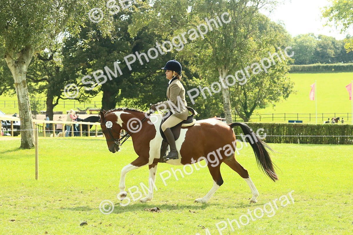 SBM_67502 - S56 - Coloured Pony Ridden