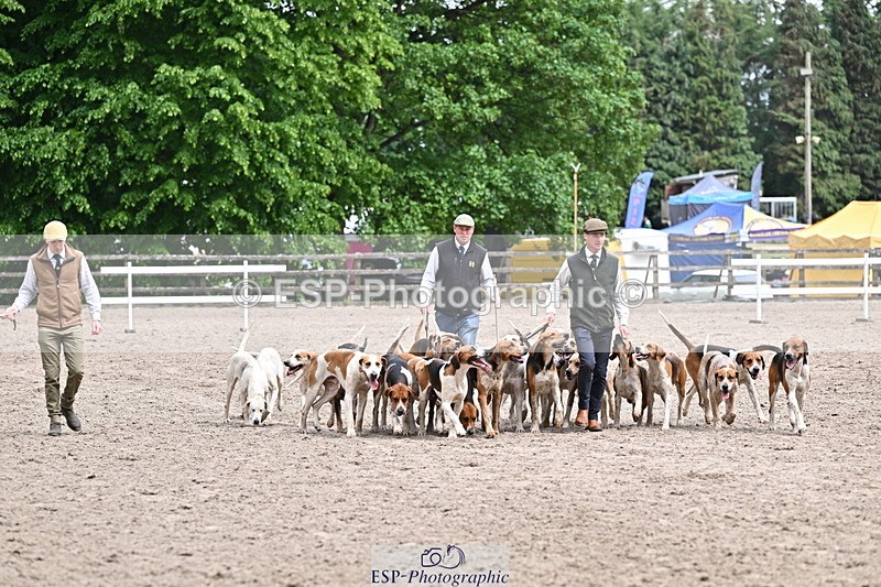 250524A-152204-12689 - East Devon Hounds